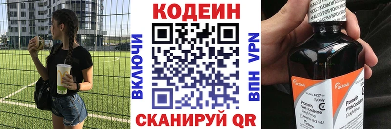 купить наркотики цена  MEGA сайт  Кодеин Purple Drank  Заводоуковск 
