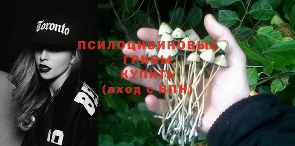 спиды Гусь-Хрустальный