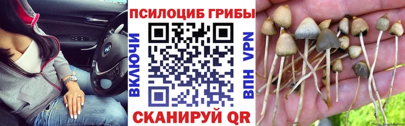 Галлюциногенные грибы мицелий  Заводоуковск 